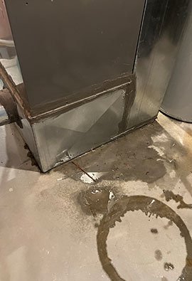 Mold-Remediation-Services-001